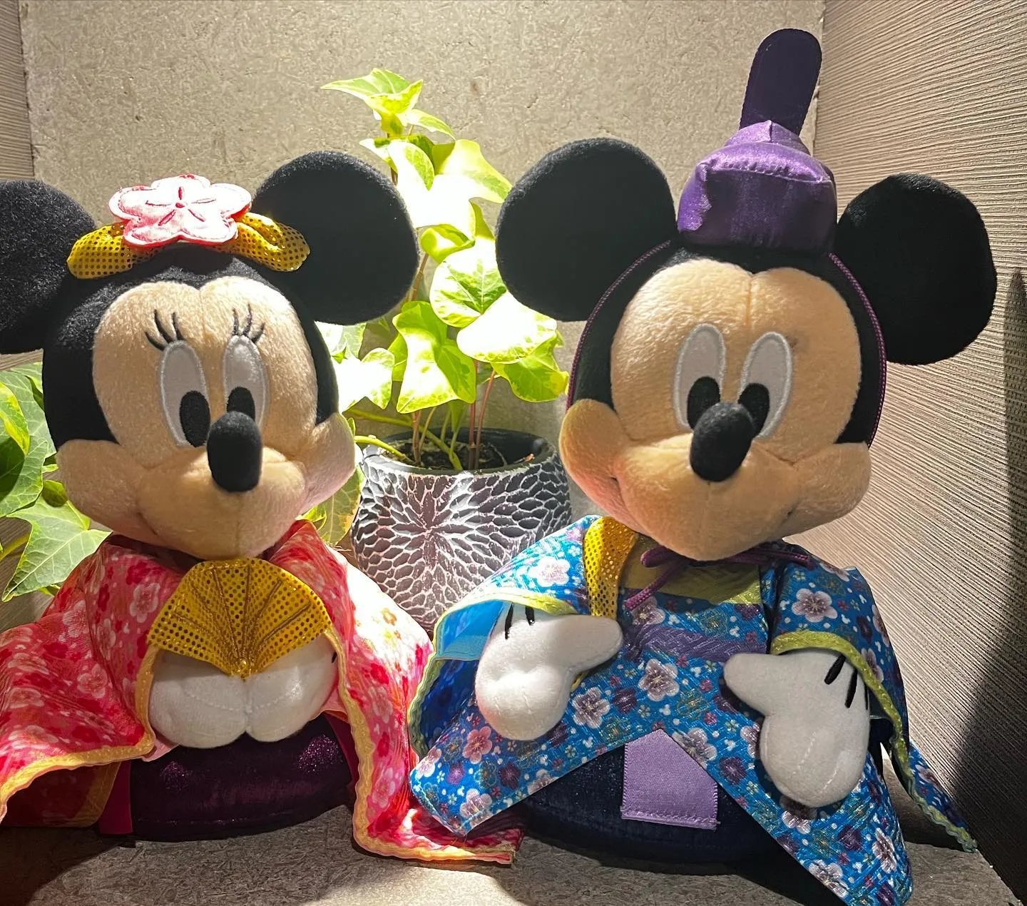 もう2月も後半ですね。