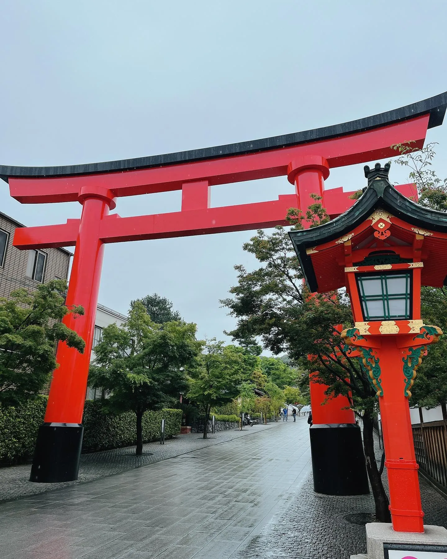 毎年5月は感謝の気持ちを込めてお参りしてます😌