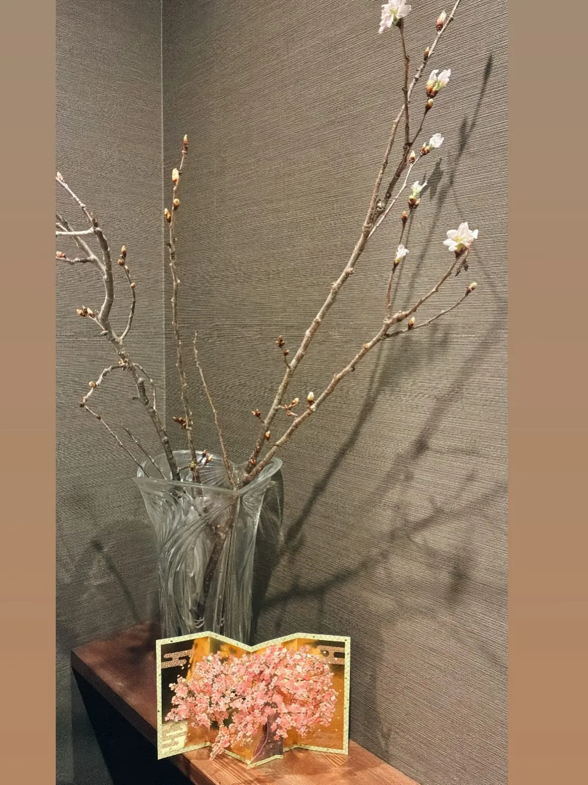 最近寒いですが、桜もちらほら出てきました🌸